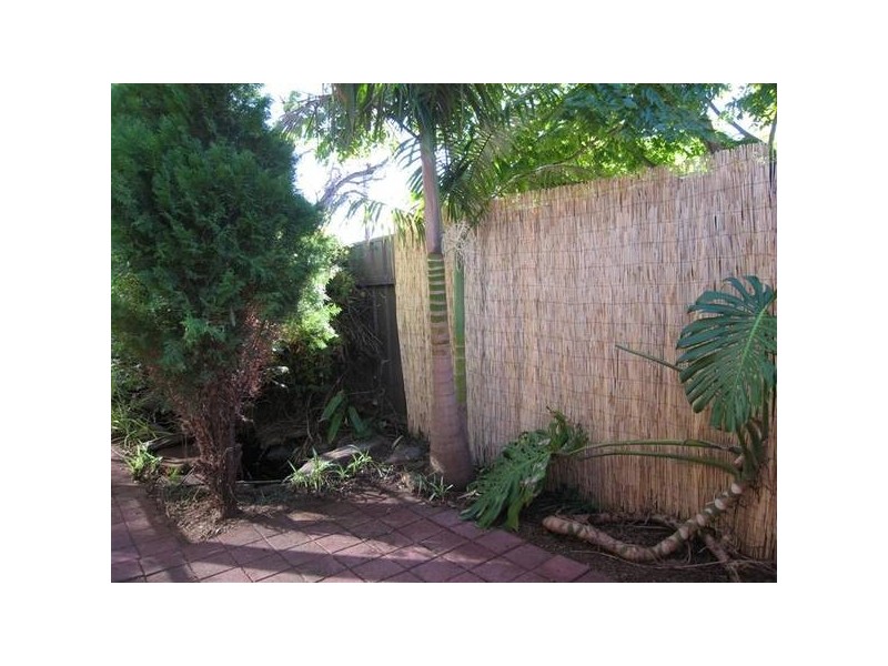 1 Nibley Avenue, Everard Park SA 5035