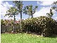 24 Newlands Drive, West Beach SA 5024