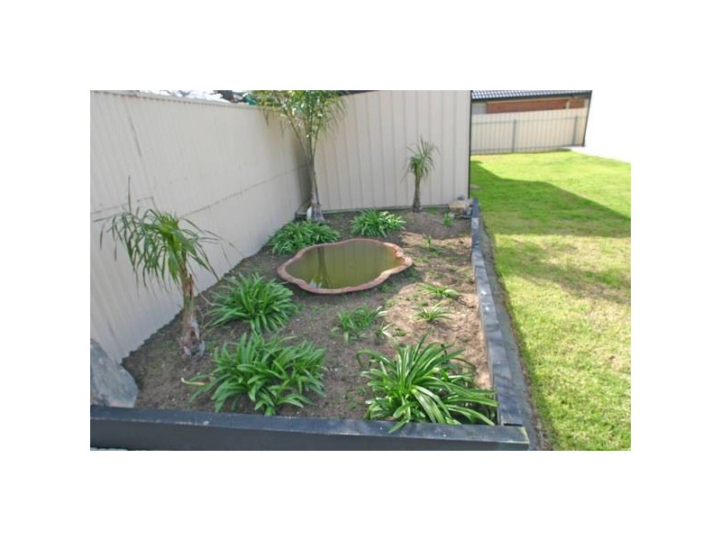 1 Pam Street, Netley SA 5037