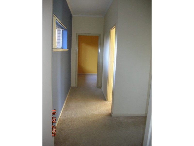 2/49 Ballantyne Street, Thebarton SA 5031