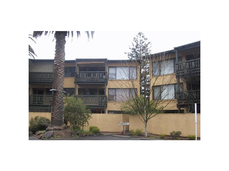 4/260 Anzac Highway, Plympton SA 5038