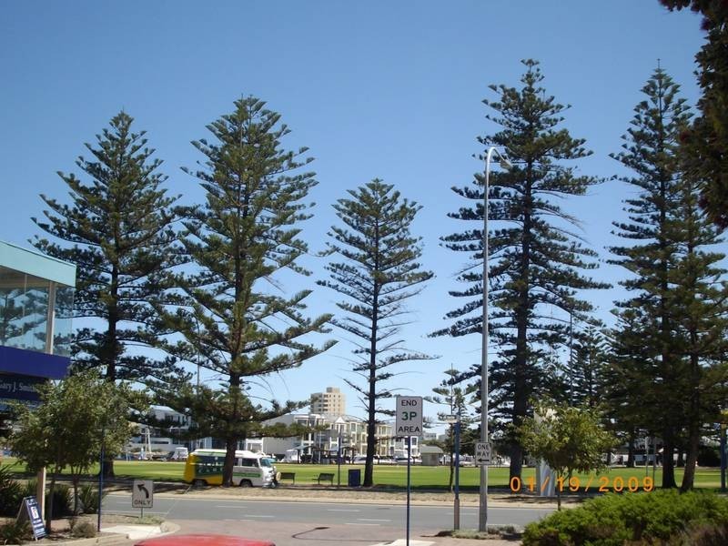 34/760 Anzac Highway, Glenelg SA 5045