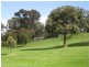 26 Woodlea Drive, Aberfoyle Park SA 5159