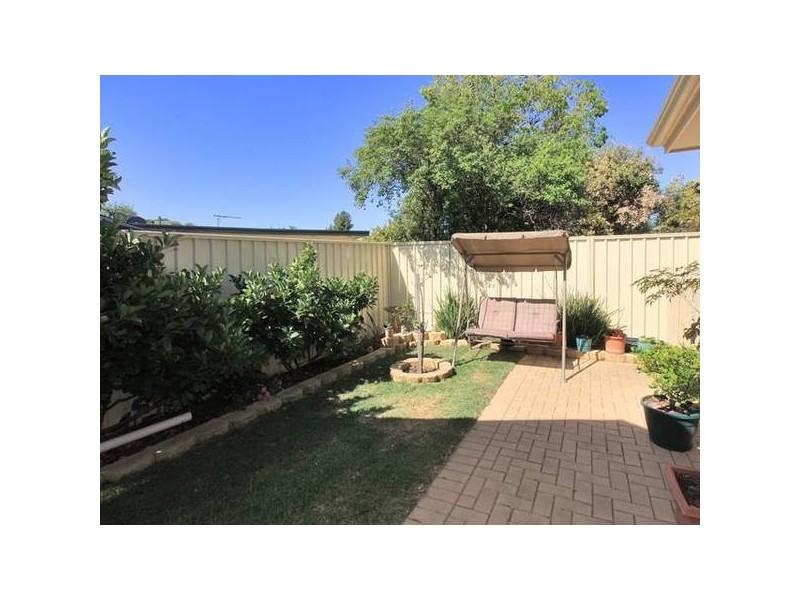 50 Anstey Crescent, Kurralta Park SA 5037