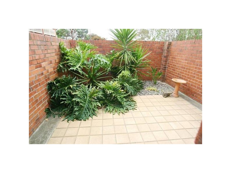 6/15 Hendrie Street, Morphettville SA 5043