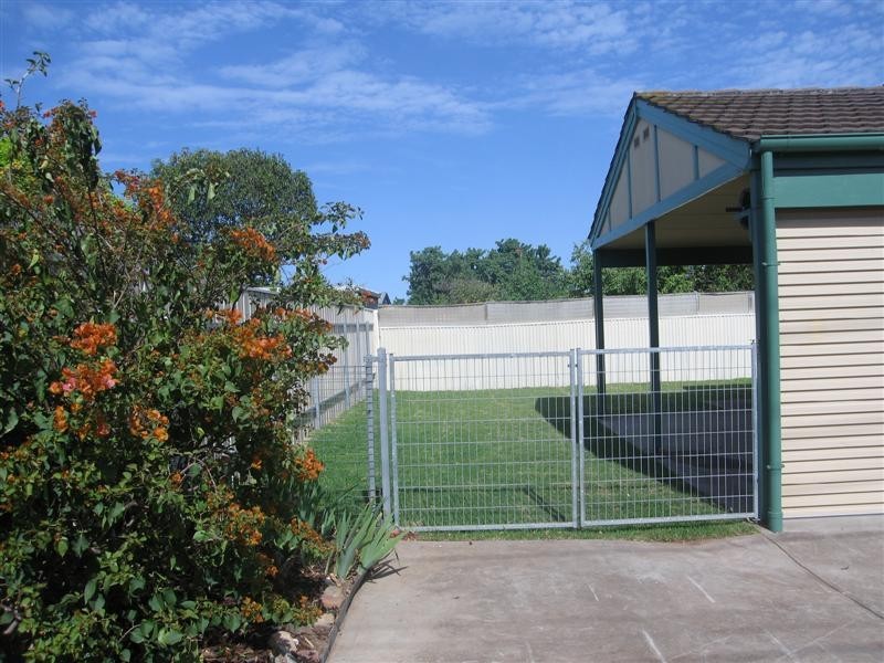 11 Edgeworth Street, South Plympton SA 5038
