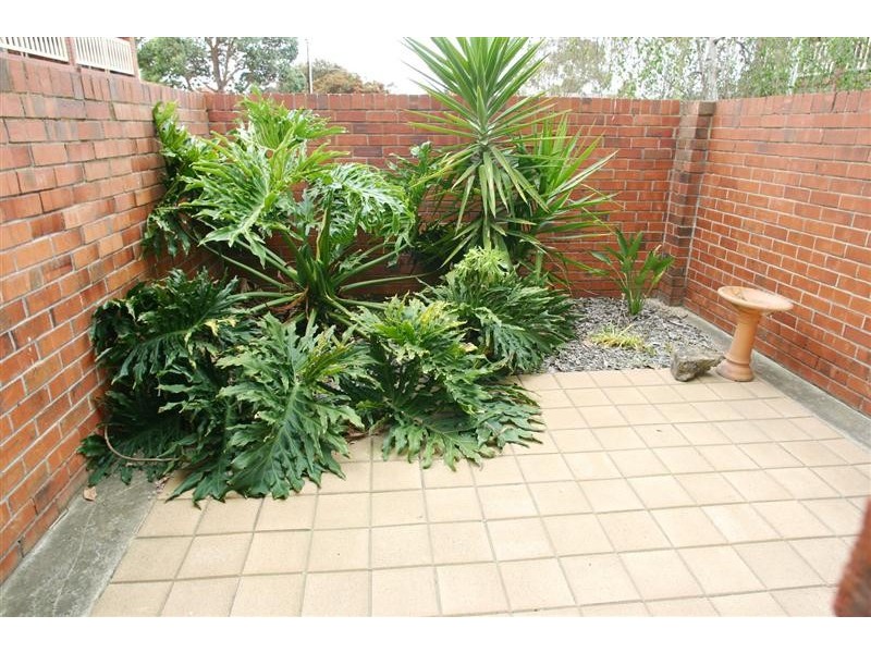 6/15 Hendrie Street, Morphettville SA 5043