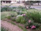 61 Osborn Terrace, Plympton SA 5038