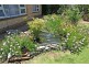 61 Osborn Terrace, Plympton SA 5038