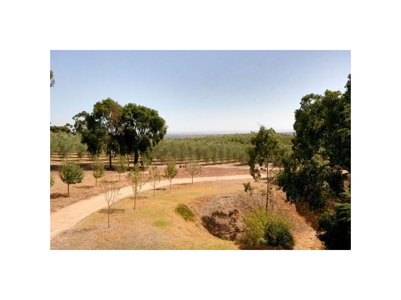 Lot 20 Waitara Road, Banksia Park SA 5091