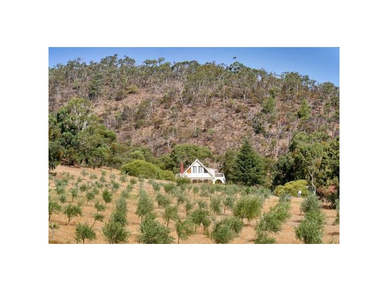 Lot 20 Waitara Road, Banksia Park SA 5091