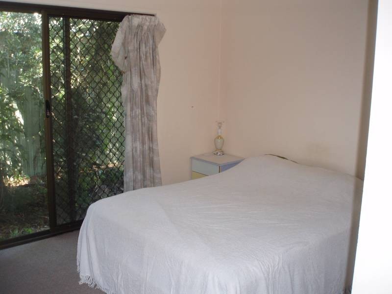 19 Naroon Crescent, Wurtulla QLD 4575