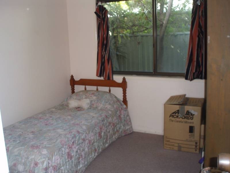 19 Naroon Crescent, Wurtulla QLD 4575