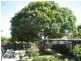 56 Palmer Avenue, Golden Beach QLD 4551