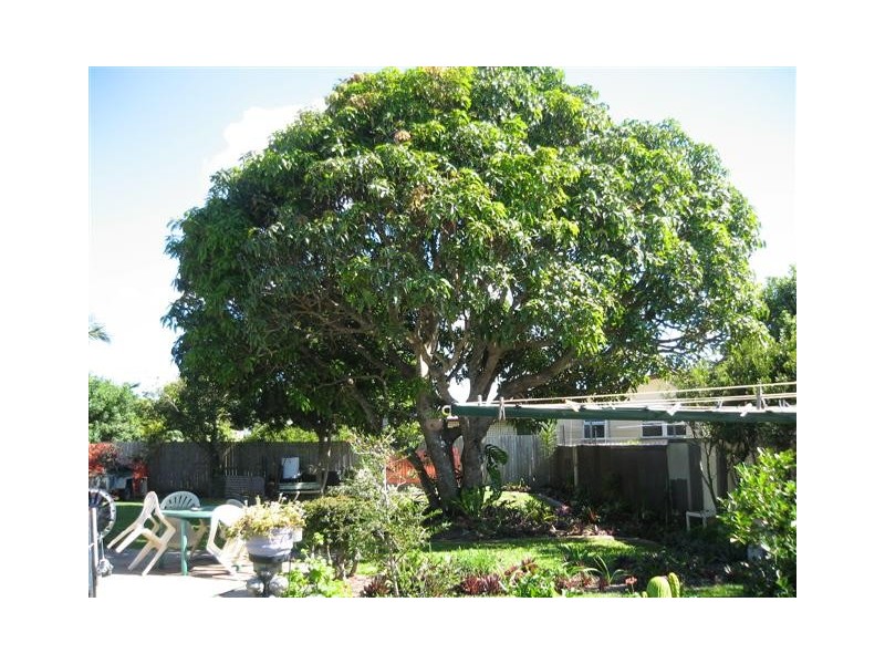56 Palmer Avenue, Golden Beach QLD 4551