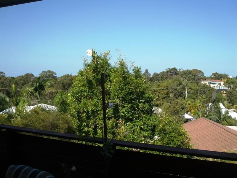 2 Kingfisher Street, Aroona QLD 4551