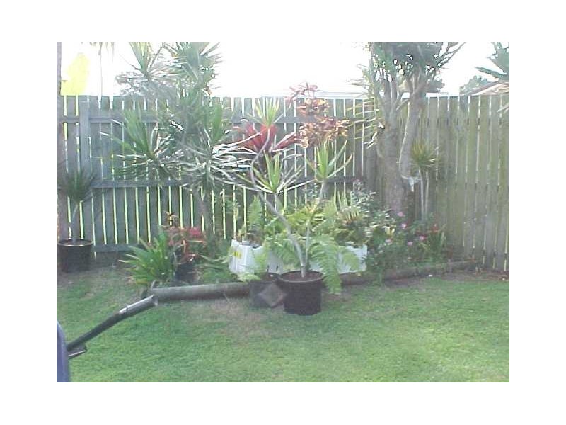 224 Oceanic Drive, Warana QLD 4575