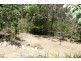 10 Sandpiper Place, Aroona QLD 4551