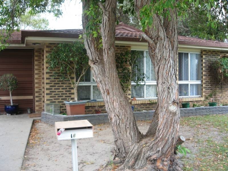16 Girraween Street, Warana QLD 4575