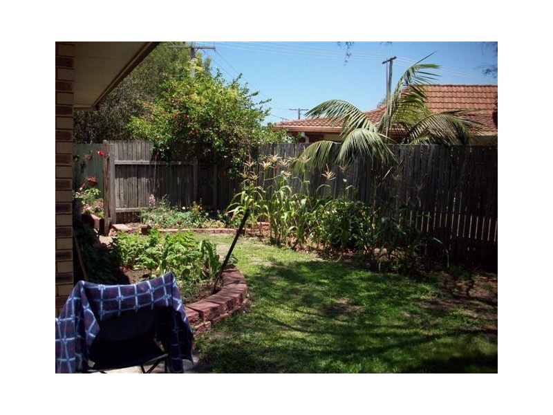 16 Girraween Street, Warana QLD 4575