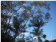 3 Mayes Avenue, Caloundra QLD 4551