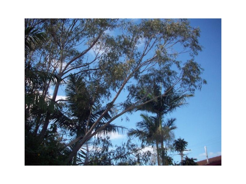 3 Mayes Avenue, Caloundra QLD 4551