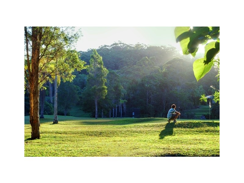 31 Palm Creek Road, Tanawha QLD 4556