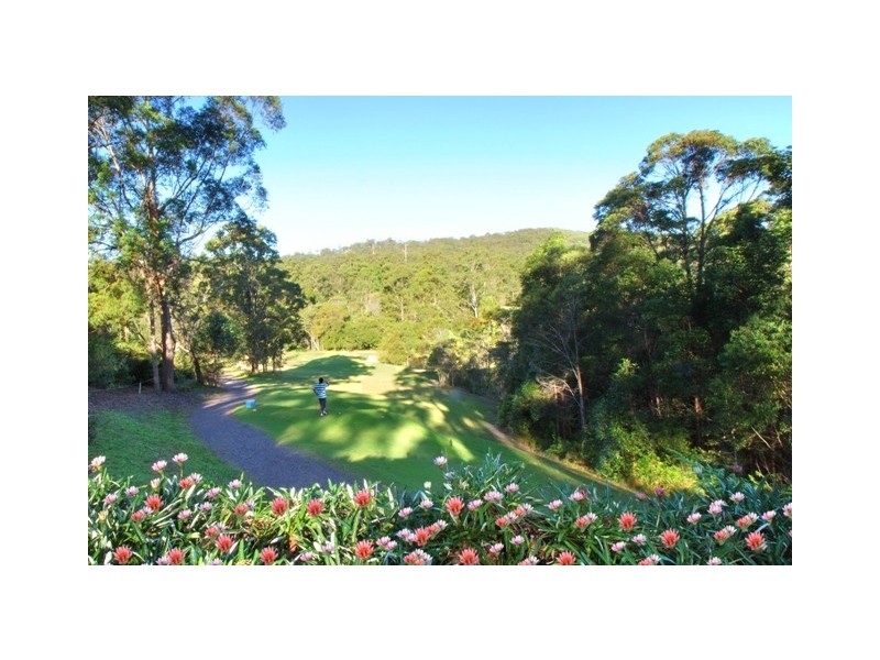 31 Palm Creek Drive, Tanawha QLD 4556