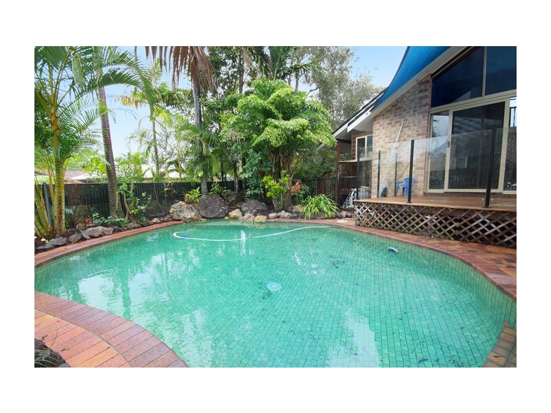 31 Monteray Street, Mountain Creek QLD 4557