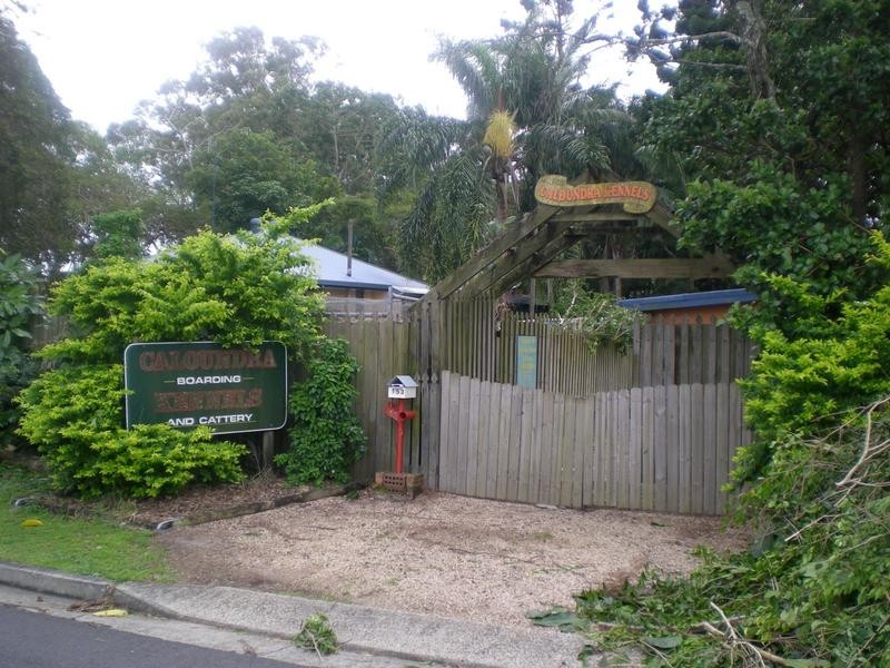 153 Grigor Street, Moffat Beach QLD 4551
