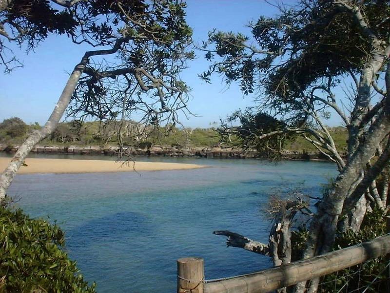 37 Gannawarra Street, Currimundi QLD 4551