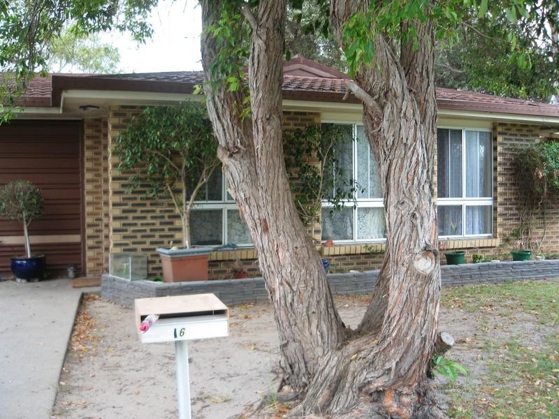 16 Girraween Street, Warana QLD 4575