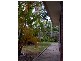 Milbong Street, Battery Hill QLD 4551