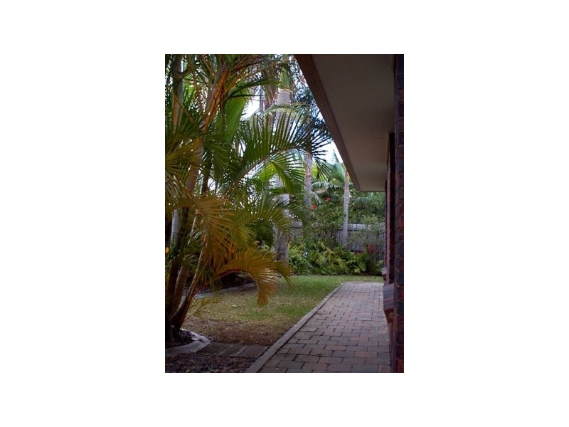 Milbong Street, Battery Hill QLD 4551