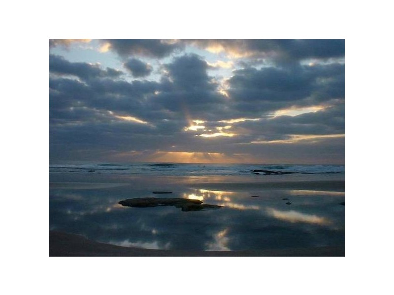 8 Wandarri Street, Wurtulla QLD 4575