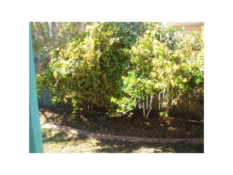 13 Tibouchina Street, Currimundi QLD 4551