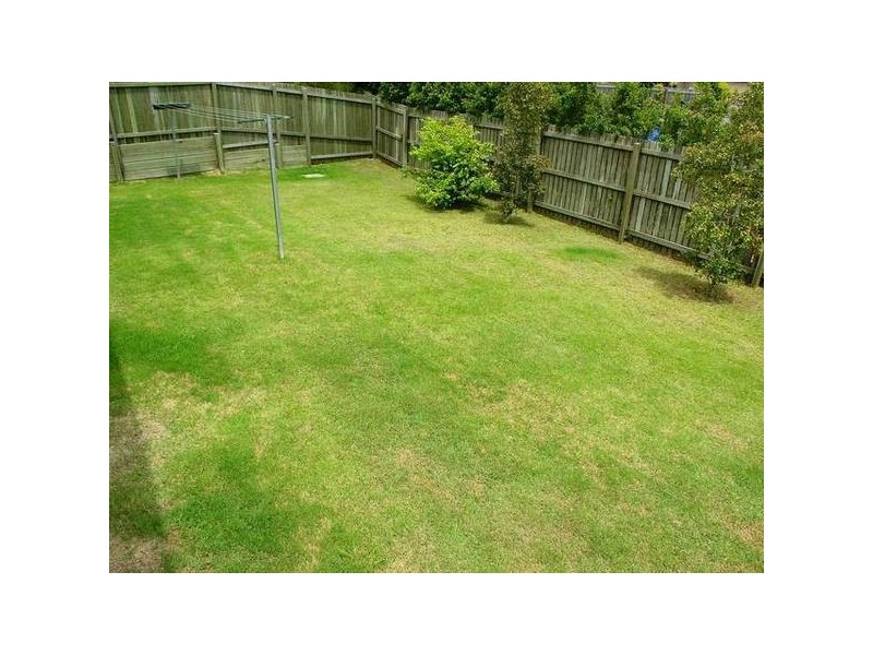 14 Carisbrook Court, LITTLE MOUNTAIN, Caloundra QLD 4551
