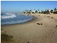 2/2 Upper Gay Tce, Kings Beach QLD 4551
