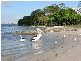 61 Lamerough Parade, Golden Beach, Caloundra QLD 4551