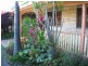 25 Naroon Crescent, Wurtulla QLD 4575