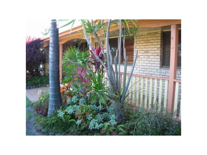 25 Naroon Crescent, Wurtulla QLD 4575