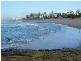 Kings Beach QLD 4551