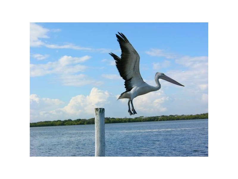 Golden Beach QLD 4551