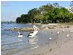 Caloundra QLD 4551
