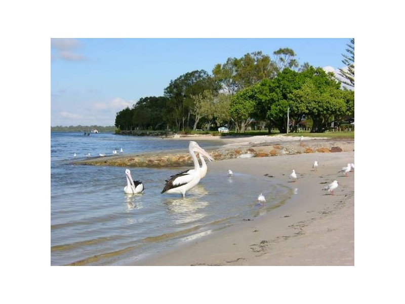 Caloundra QLD 4551