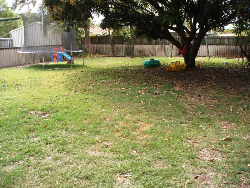 17 Croydon Avenue, Currimundi QLD 4551