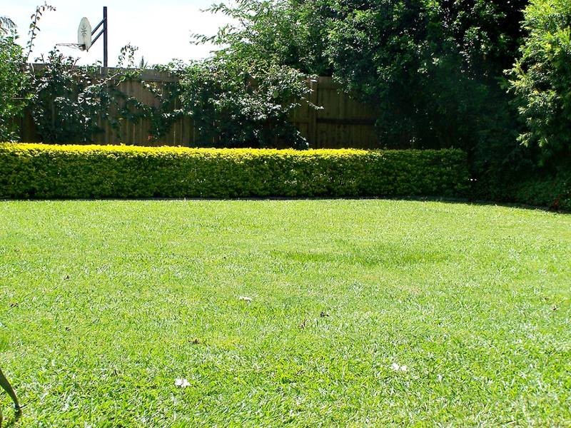 30 Avocado Street, Elanora QLD 4221