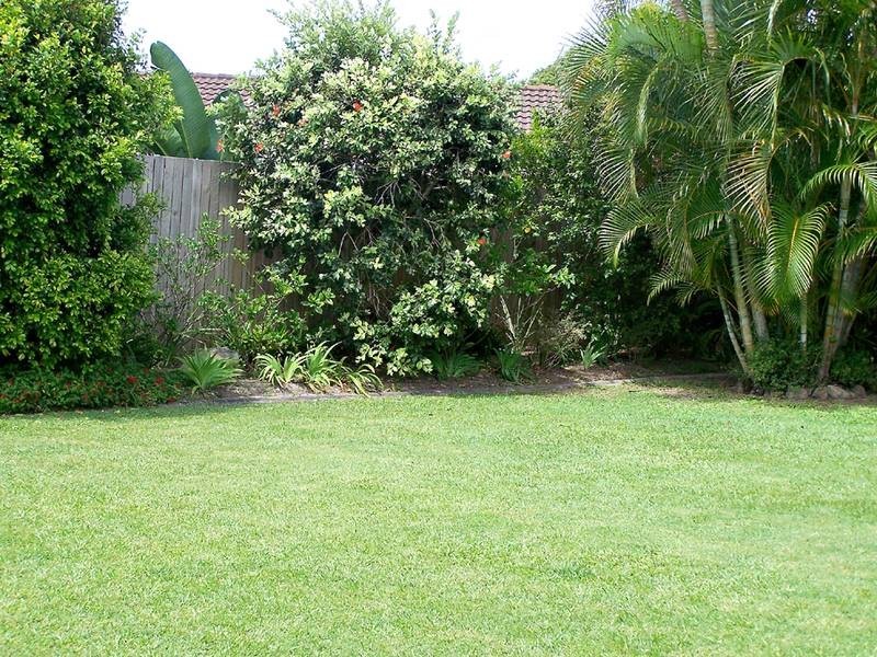 30 Avocado Street, Elanora QLD 4221