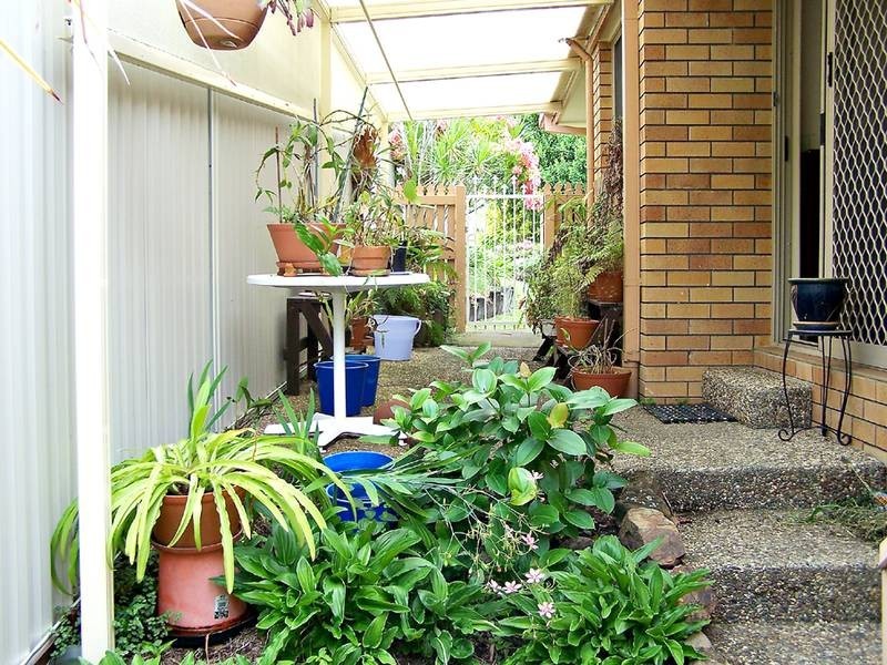 53 Wilkinson Crescent, Currumbin Waters QLD 4223