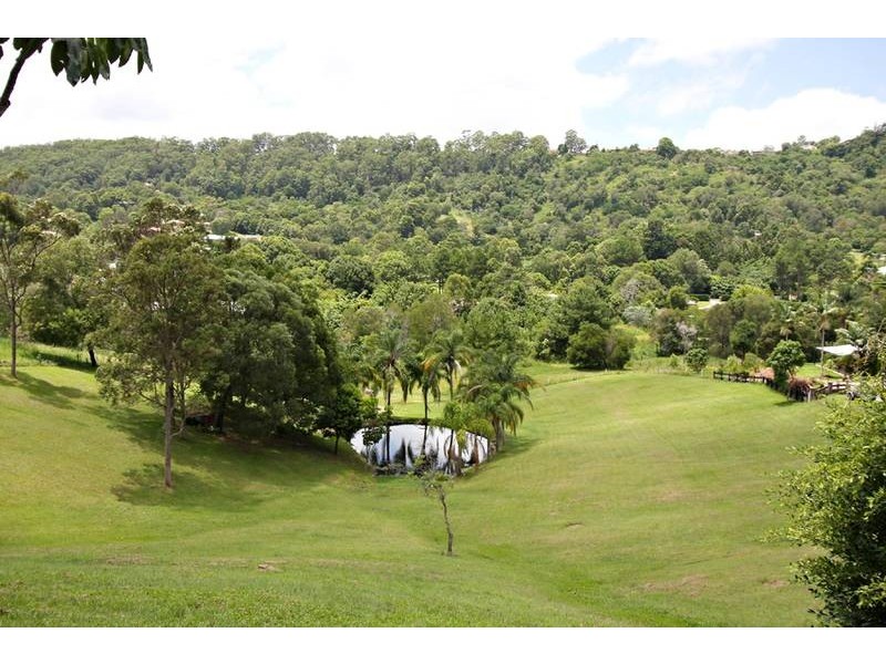 367 Tallebudgera Connection Road, Tallebudgera QLD 4228